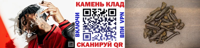 Гашиш Cannabis Анжеро-Судженск