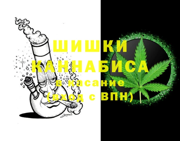 сатива Алексеевка